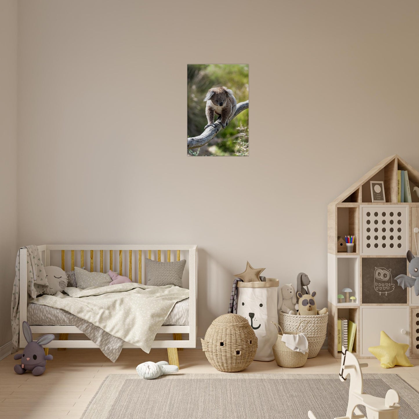 Cute koala in wildlife park by Istvan Maar Photography - kids room