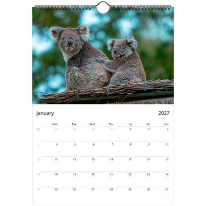 Koalas Wall Calendar – lifestyle wall display in home interior