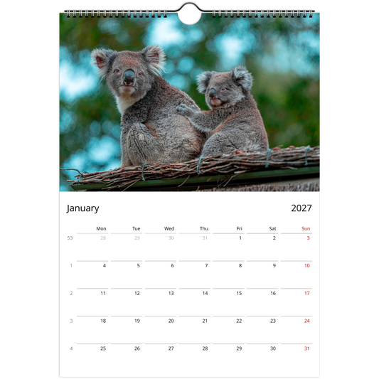 Koalas Wall Calendar – lifestyle wall display in home interior