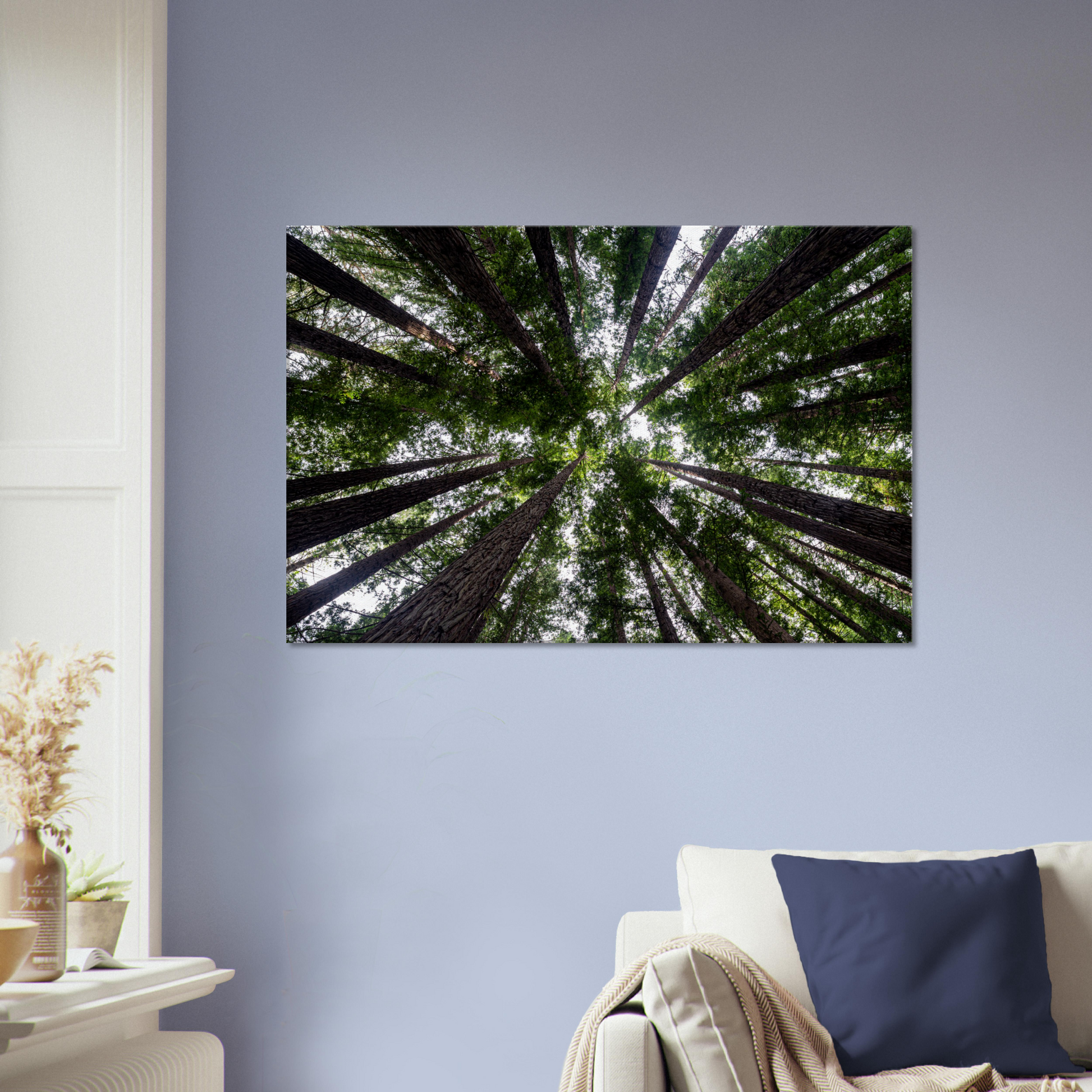 Redwood forest photo canvas by Istvan Maar Photography - living room