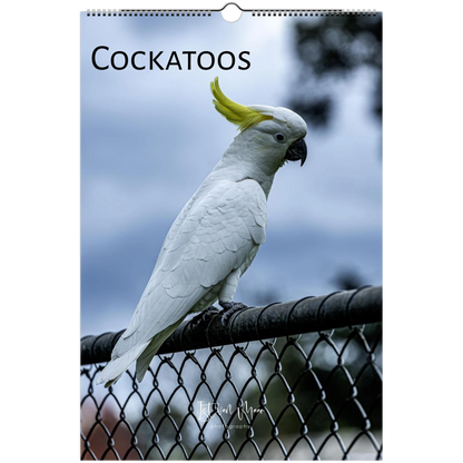 A spiral-bound wall calendar cover featuring a white cockatoo perched on a chain-link fence, with the word 'COCKATOOS' printed at the top and a small 'Istvan Maar Photography' signature near the bottom.