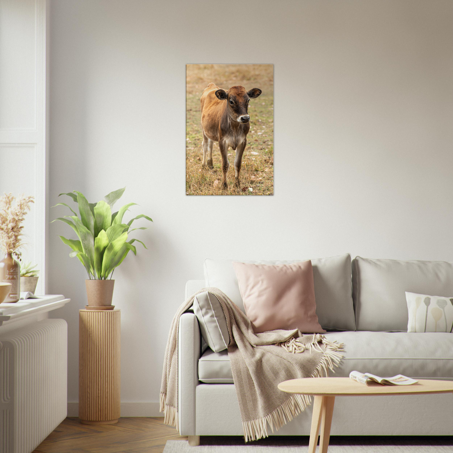 Cute calf Domestic Animal Canvas Wall Art Photography, Nursery Print, Nursery Animal Wall Decor, Kids Room, Prints, Stretched canvas by Istvan Maar Photography mockup 52