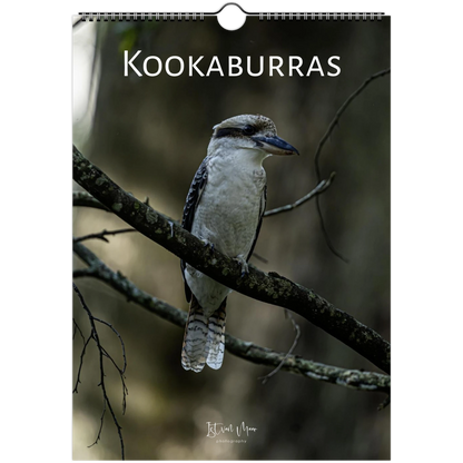 Personalised Kookaburras wall calendar – custom name cover – Australian bird photography gift by Istvan Maar