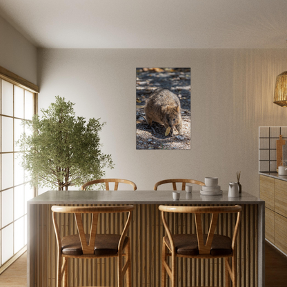 Cute Australian Animal Quokka Canvas by Istvan Maar Photography home décor