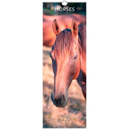 Horse calendar with a close-up of a horse's face on a white background