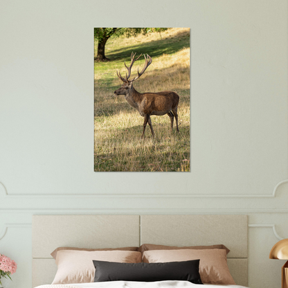 	
Deer Wildlife Animals Art Nursery Photography Wall Decor Kids Room Poster Playroom Artwork Stag Stretched Canvas 095