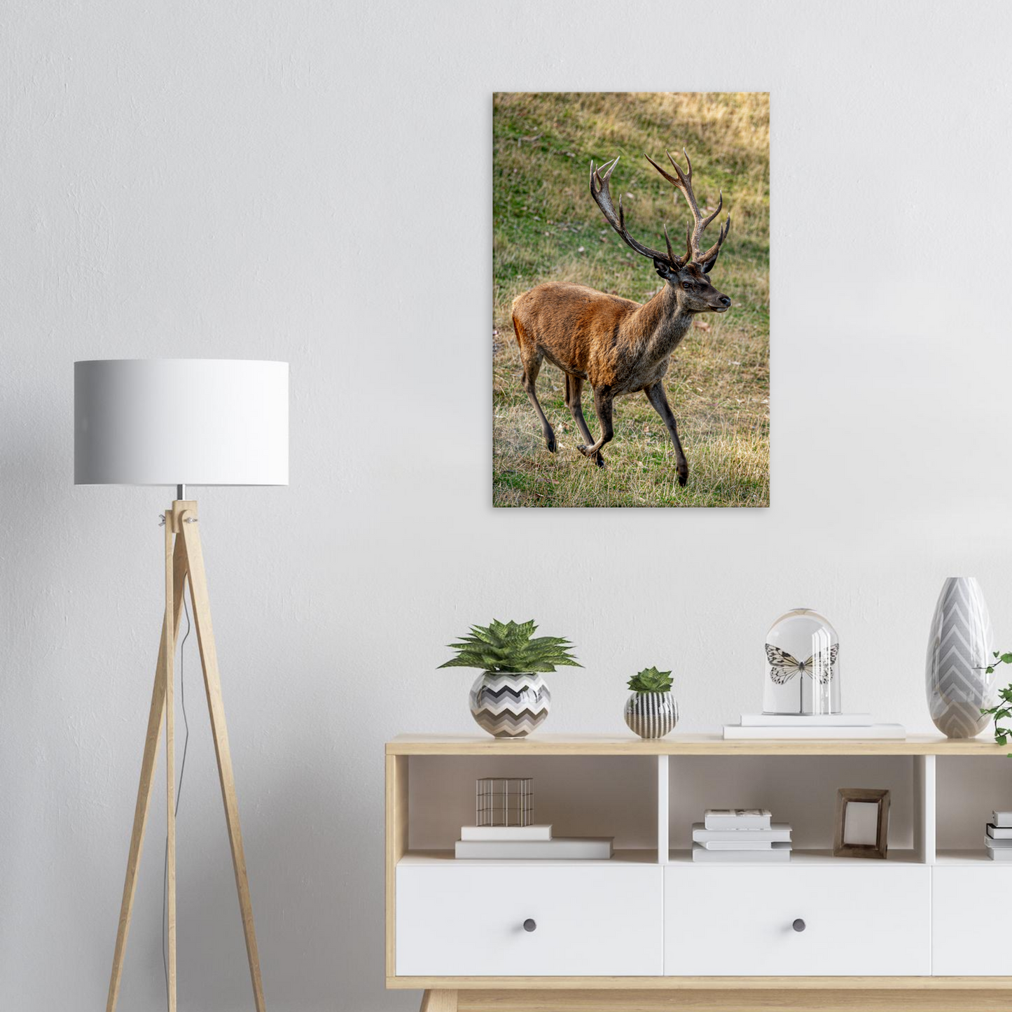 	
Deer Wildlife Animals Art Nursery Photography Wall Decor Kids Room Poster Playroom Artwork Stag Stretched Canvas 009