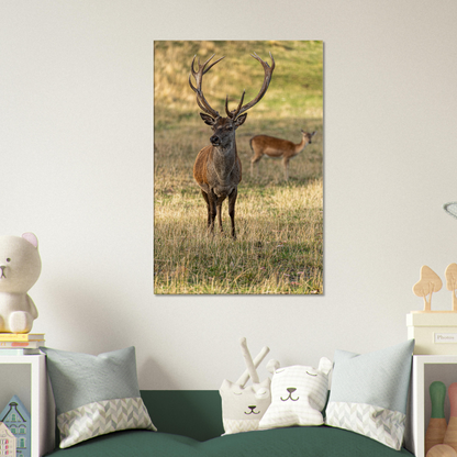 	
Deer Wildlife Animals Art Nursery Photography Wall Decor Kids Room Poster Playroom Artwork Stag Stretched Canvas 068