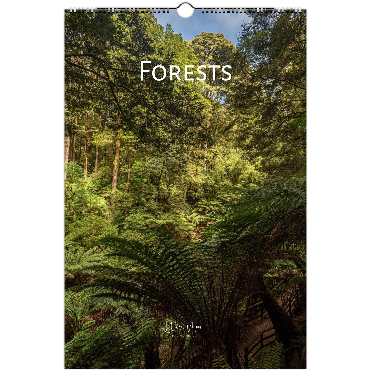 A vertical wall calendar or print featuring a forest scene with ferns and trees, with the word 'FORESTS' in large white text across the upper middle. The product is shown against a white background with a hanging hole at the top.