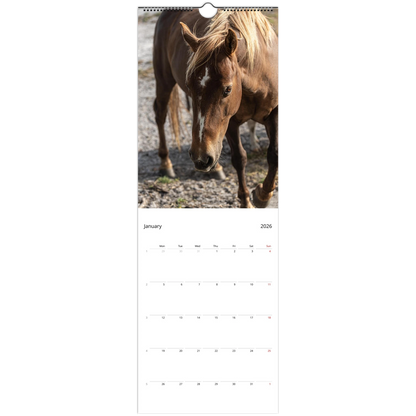 Horses Slim Wall Calendar – monthly spread with horse photography
