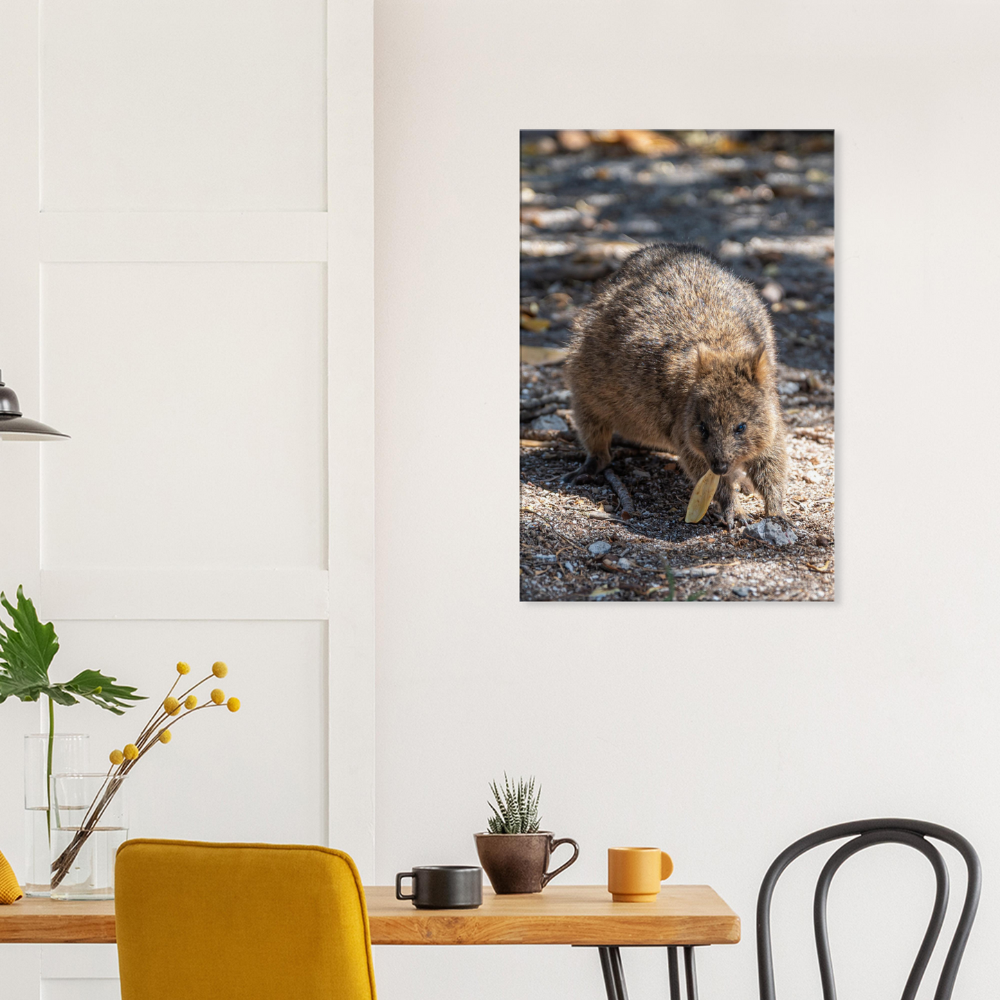 Cute Australian Animal Quokka Canvas by Istvan Maar Photography home décor