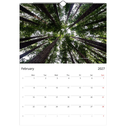 2027 Forests Wall Calendar - lifestyle wall display in home interior