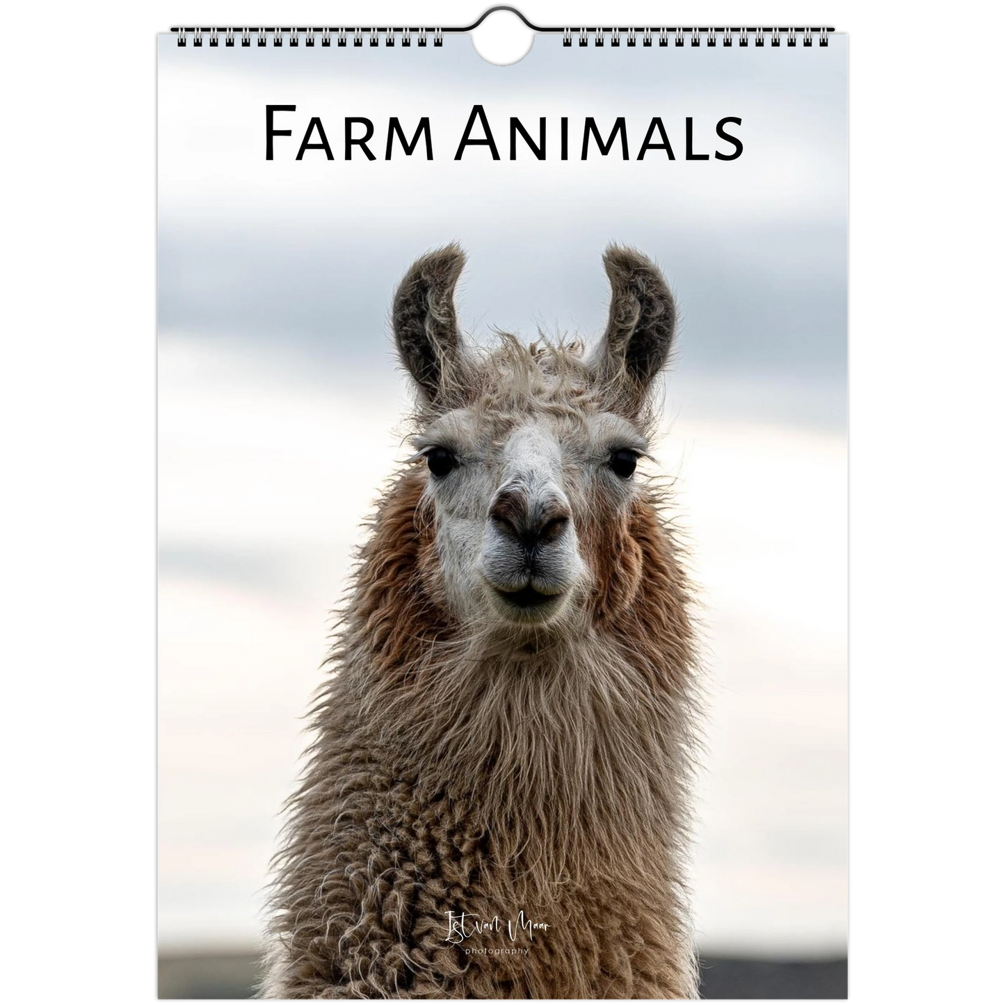 A spiral-bound wall calendar or magazine cover titled "FARM ANIMALS" featuring a close-up photo of a llama or alpaca against a soft cloudy sky. The animal fills most of the cover, with the title printed at the top and a hanging hole near the top edge.