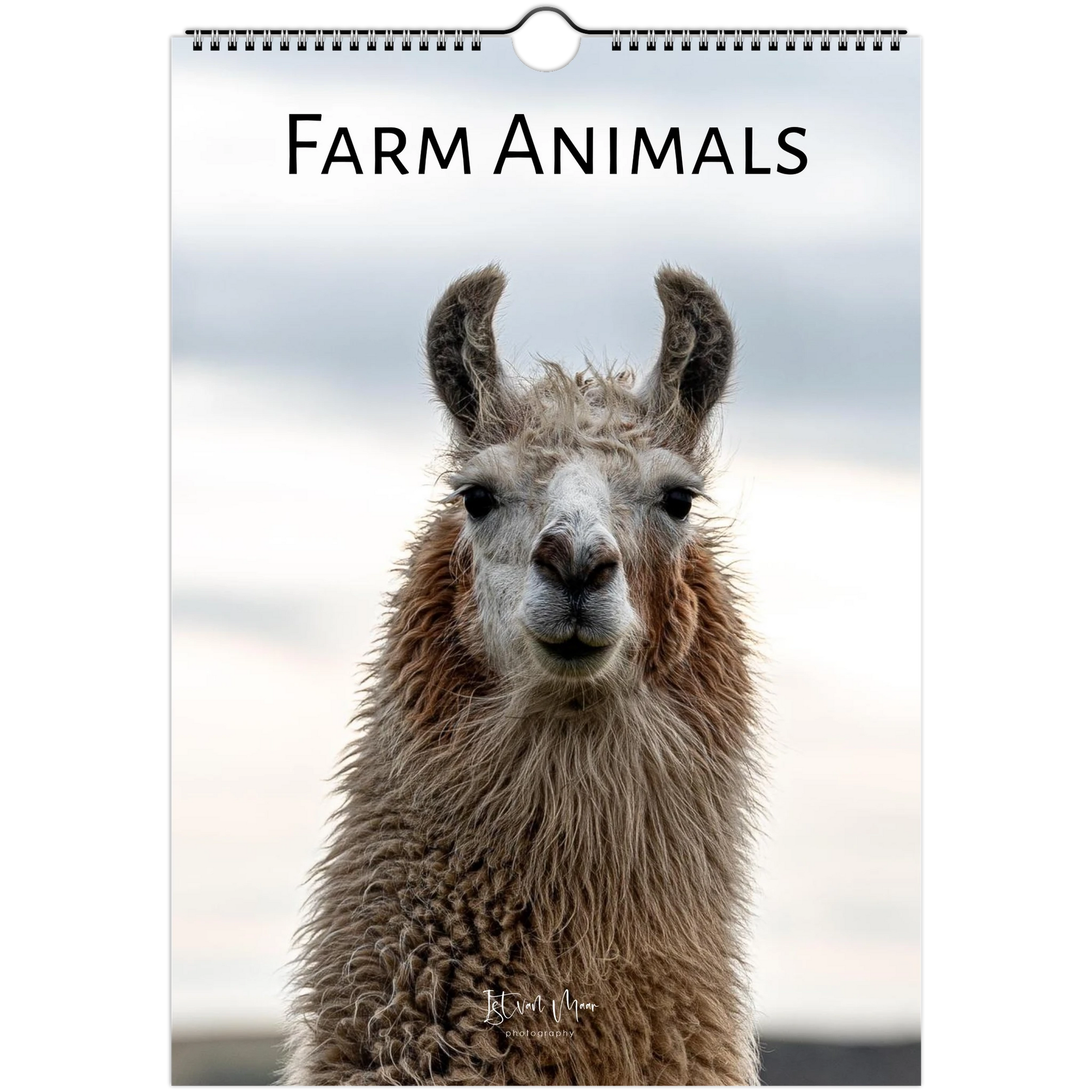 A spiral-bound wall calendar or magazine cover titled "FARM ANIMALS" featuring a close-up photo of a llama or alpaca against a soft cloudy sky. The animal fills most of the cover, with the title printed at the top and a hanging hole near the top edge.