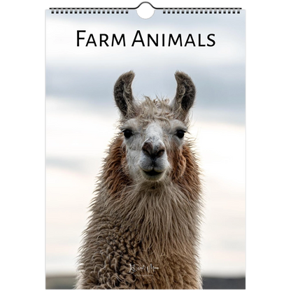 A spiral-bound wall calendar or magazine cover titled "FARM ANIMALS" featuring a close-up photo of a llama or alpaca against a soft cloudy sky. The animal fills most of the cover, with the title printed at the top and a hanging hole near the top edge.