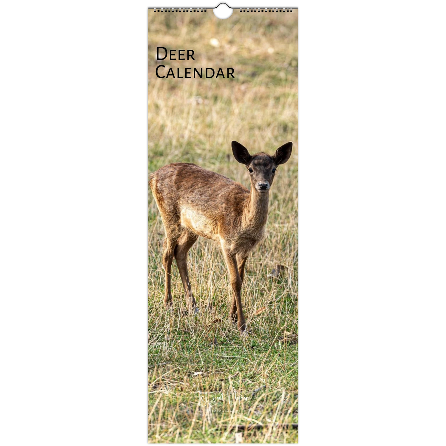 Personalised Deers Wall Calendar by Istvan Maar Photography available in slim vertical formats.