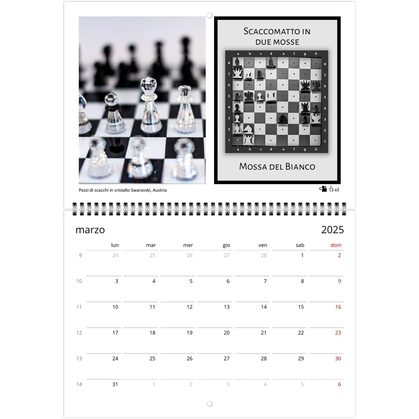 2025 Chess Wall Calendar by Istvan Maar Photography featuring global chess sets and monthly chess puzzles, vibrant imagery