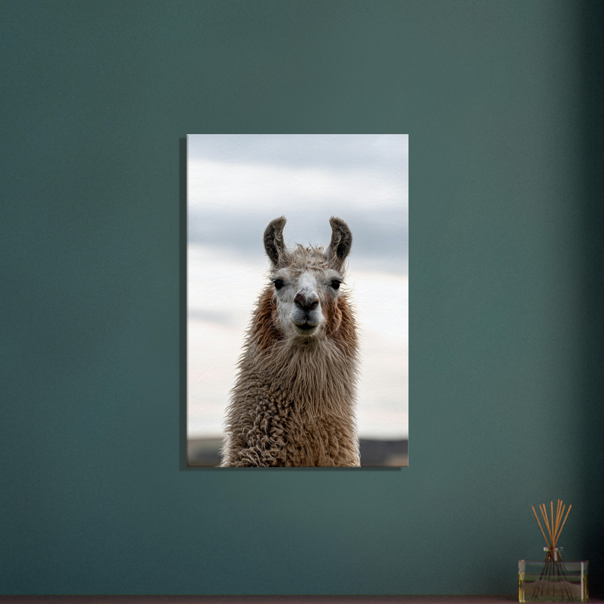 Llama Domestic Farm Animal Canvas Wall Art Photography, Nursery Print, Nursery Animal Wall Decor, Kids Room, Prints, Stretched canvas by Istvan Maar Photography mockup 12