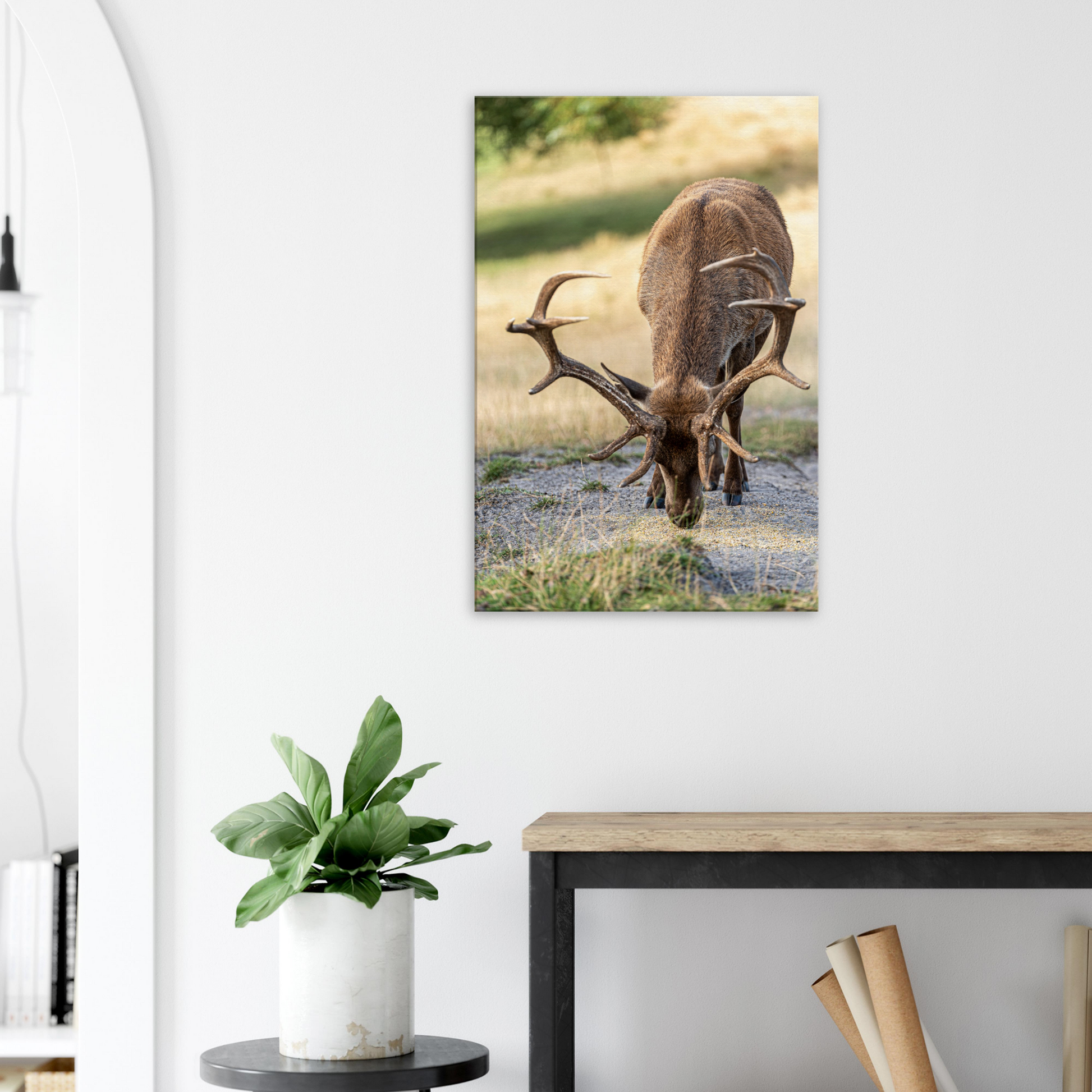 	
Deer Wildlife Animals Art Nursery Photography Wall Decor Kids Room Poster Playroom Artwork Stag Stretched Canvas 076