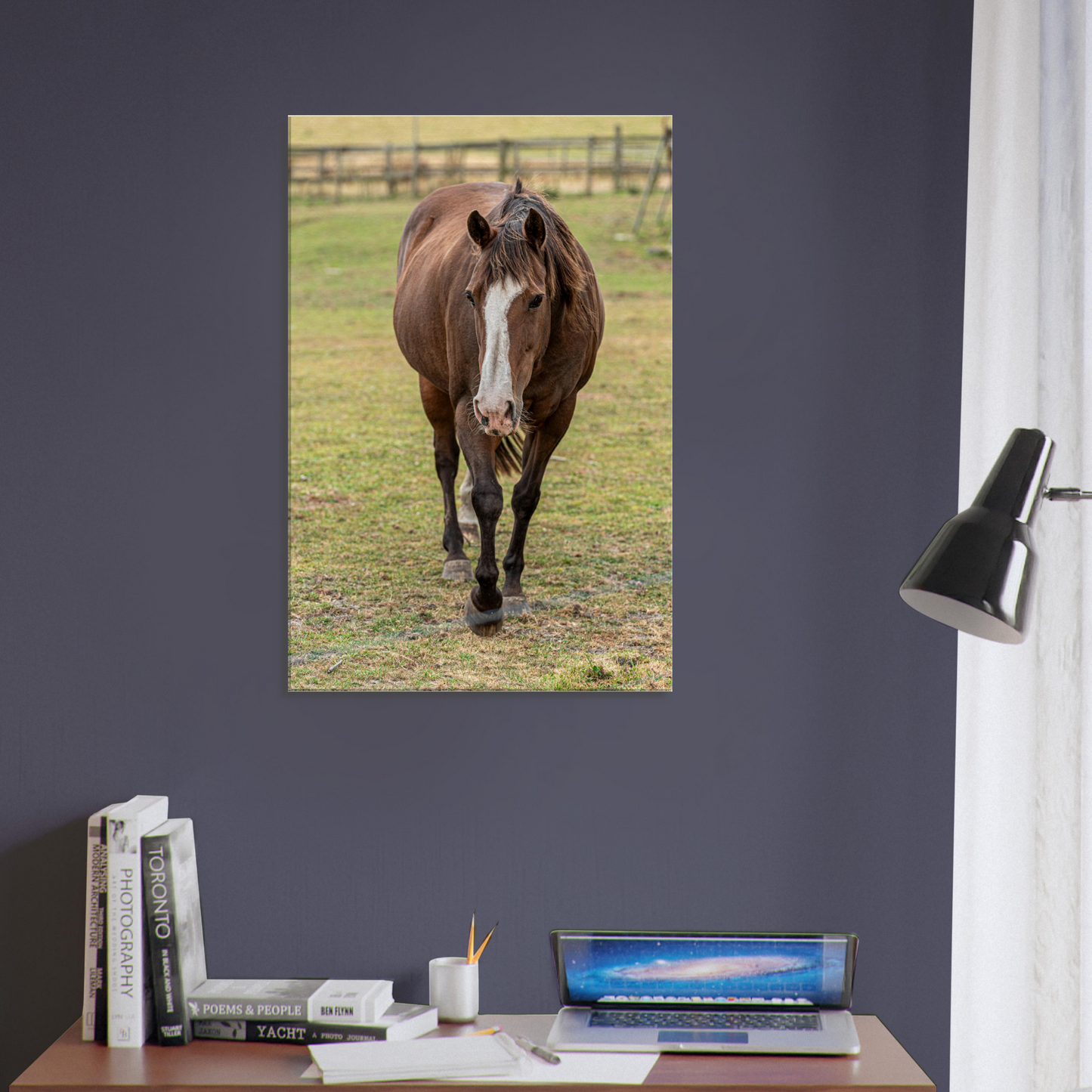 Horse Domestic Animal Canvas by Istvan Maar Photography 