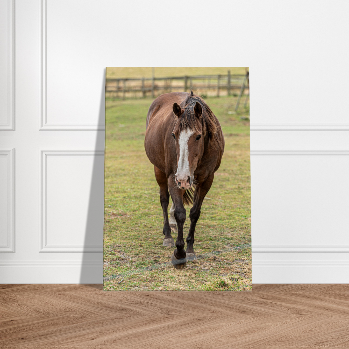 Horse Domestic Wall Art Photograph by Istvan Maar Photography