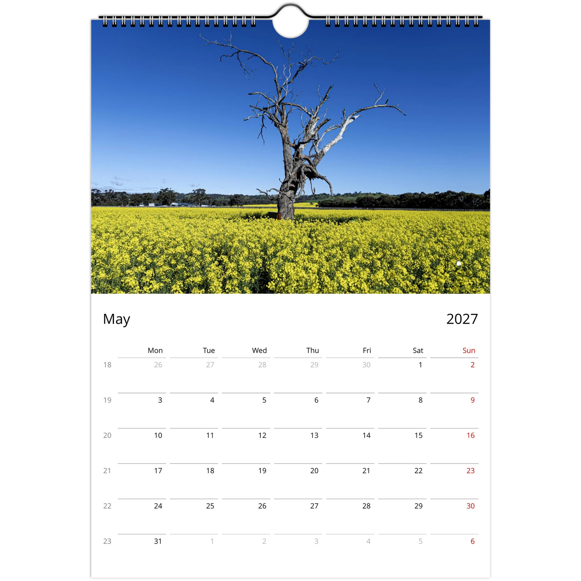 A single-page spiral-bound calendar page showing a landscape photograph of a bare tree in a bright yellow flower field under a clear blue sky, with a May 2027 weekly schedule below.