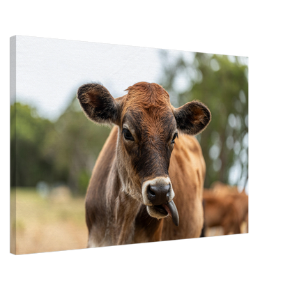 Cute calf Domestic Animal Canvas Wall Art Photography, Nursery Print, Nursery Animal Wall Decor, Kids Room, Prints, Stretched canvas by Istvan Maar Photography mockup 05