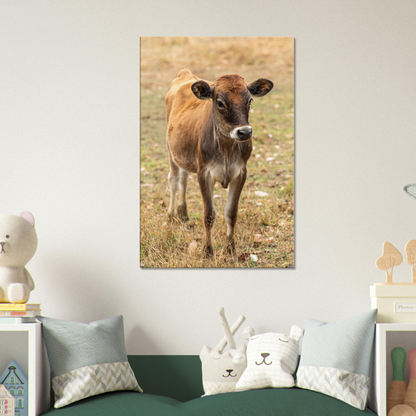 Cute calf Domestic Animal Canvas Wall Art Photography, Nursery Print, Nursery Animal Wall Decor, Kids Room, Prints, Stretched canvas by Istvan Maar Photography mockup 54