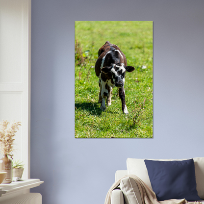 Cute calf Domestic Animal Canvas Wall Art Photography, Nursery Print, Nursery Animal Wall Decor, Kids Room, Prints, Stretched canvas by Istvan Maar Photography mockup 33