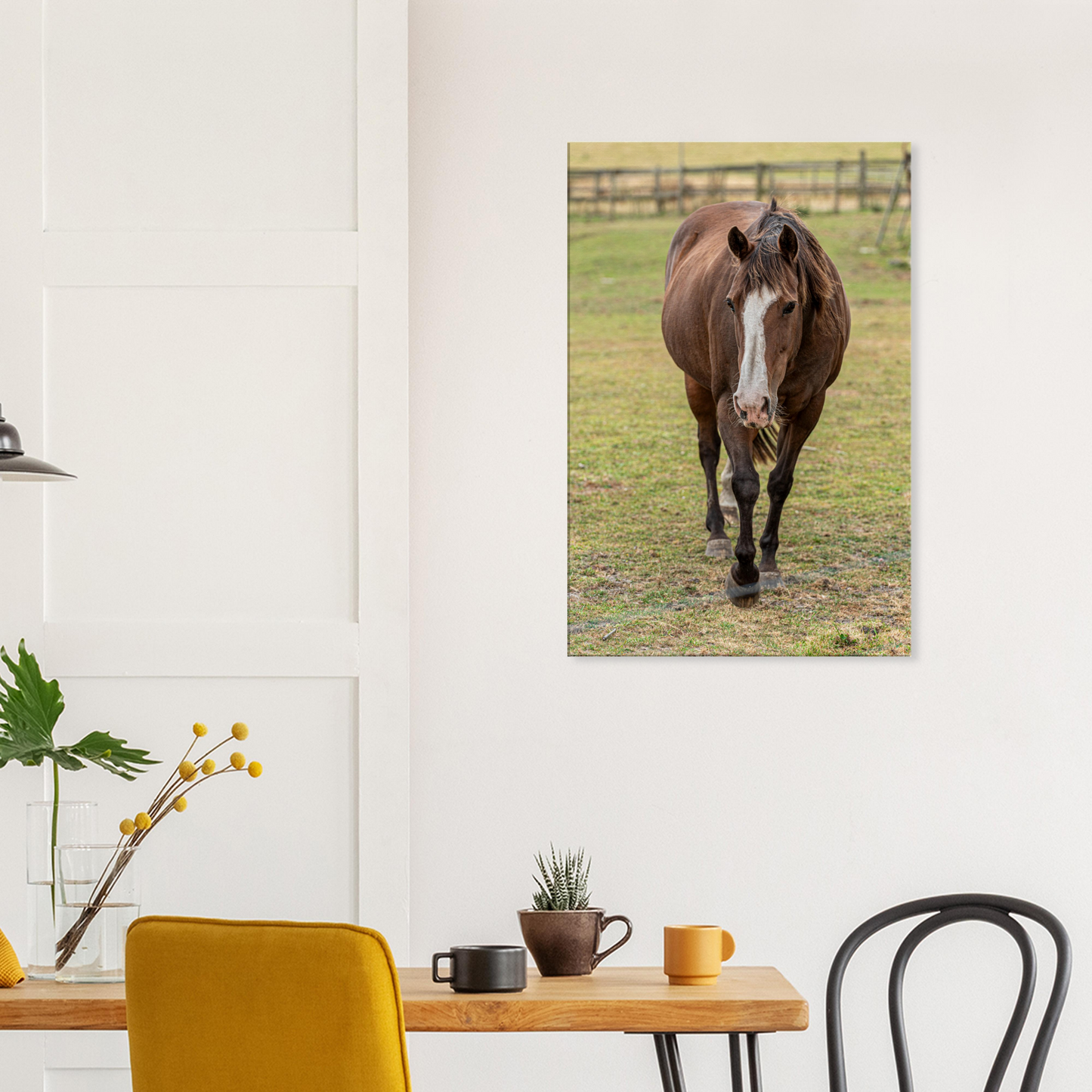 Horse Canvas Wall Art by Istvan Maar Photography 