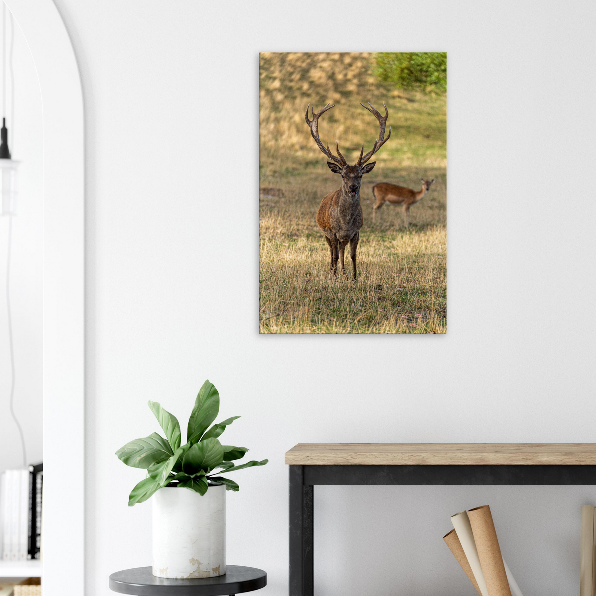 	
Deer Wildlife Animals Art Nursery Photography Wall Decor Kids Room Poster Playroom Artwork Stag Stretched Canvas 022