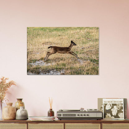 	
Deer Wildlife Animals Art Nursery Photography Wall Decor Kids Room Poster Playroom Artwork Stag Stretched Canvas 003