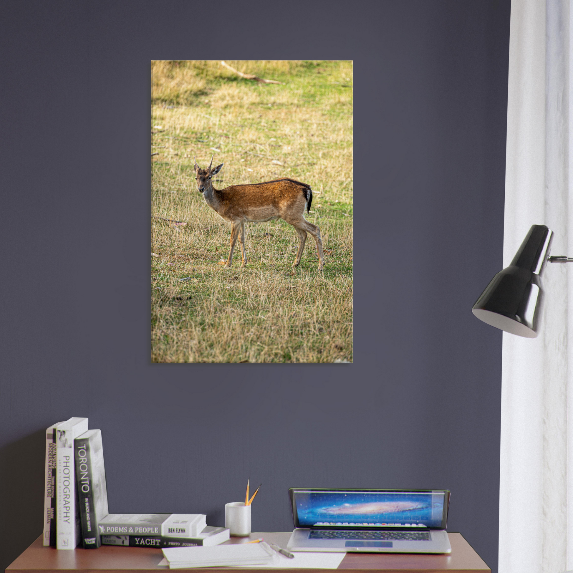 	
Deer Wildlife Animals Art Nursery Photography Wall Decor Kids Room Poster Playroom Artwork Stag Stretched Canvas 161