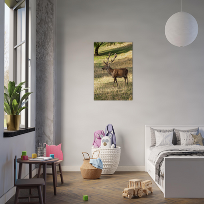 	
Deer Wildlife Animals Art Nursery Photography Wall Decor Kids Room Poster Playroom Artwork Stag Stretched Canvas 101