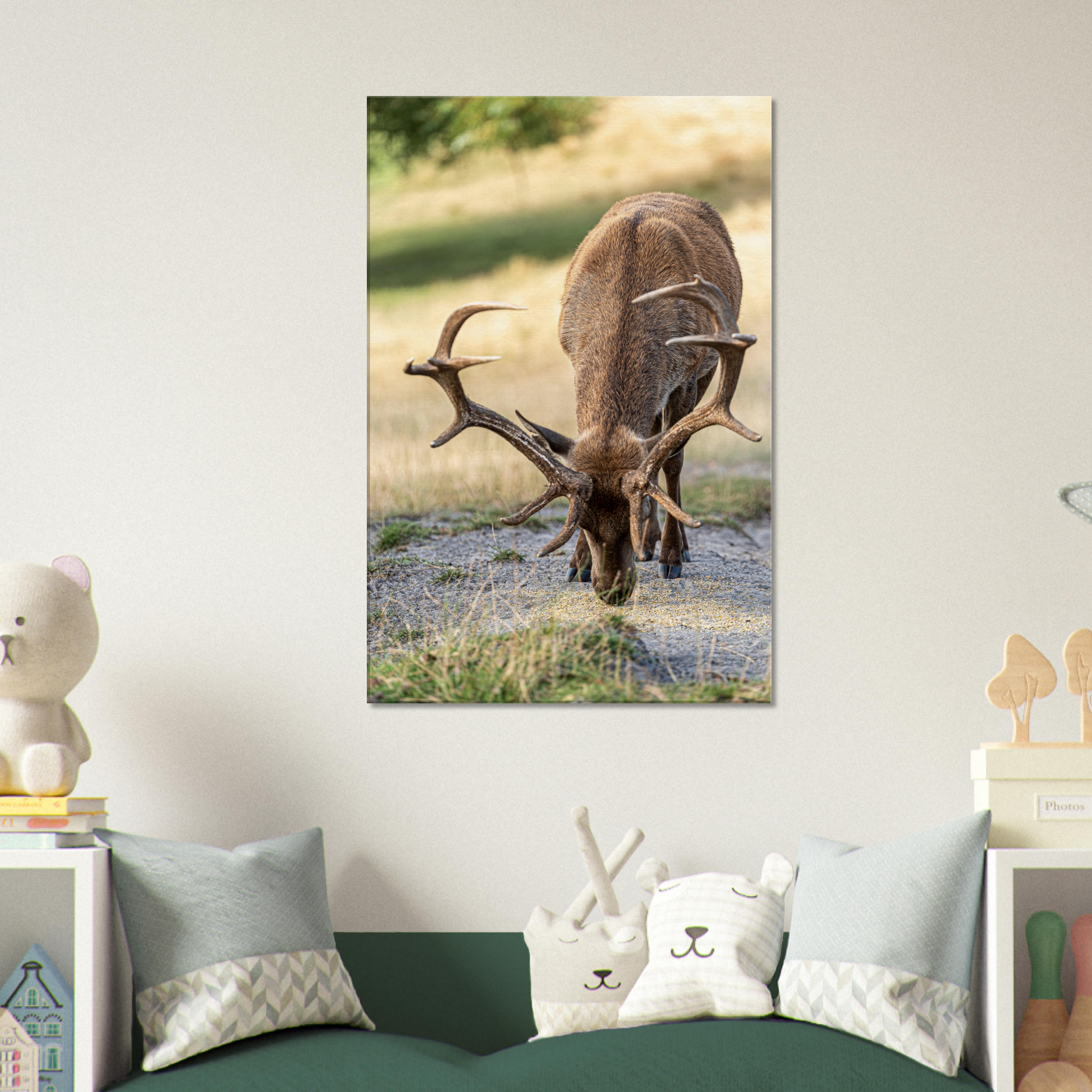 	
Deer Wildlife Animals Art Nursery Photography Wall Decor Kids Room Poster Playroom Artwork Stag Stretched Canvas 082