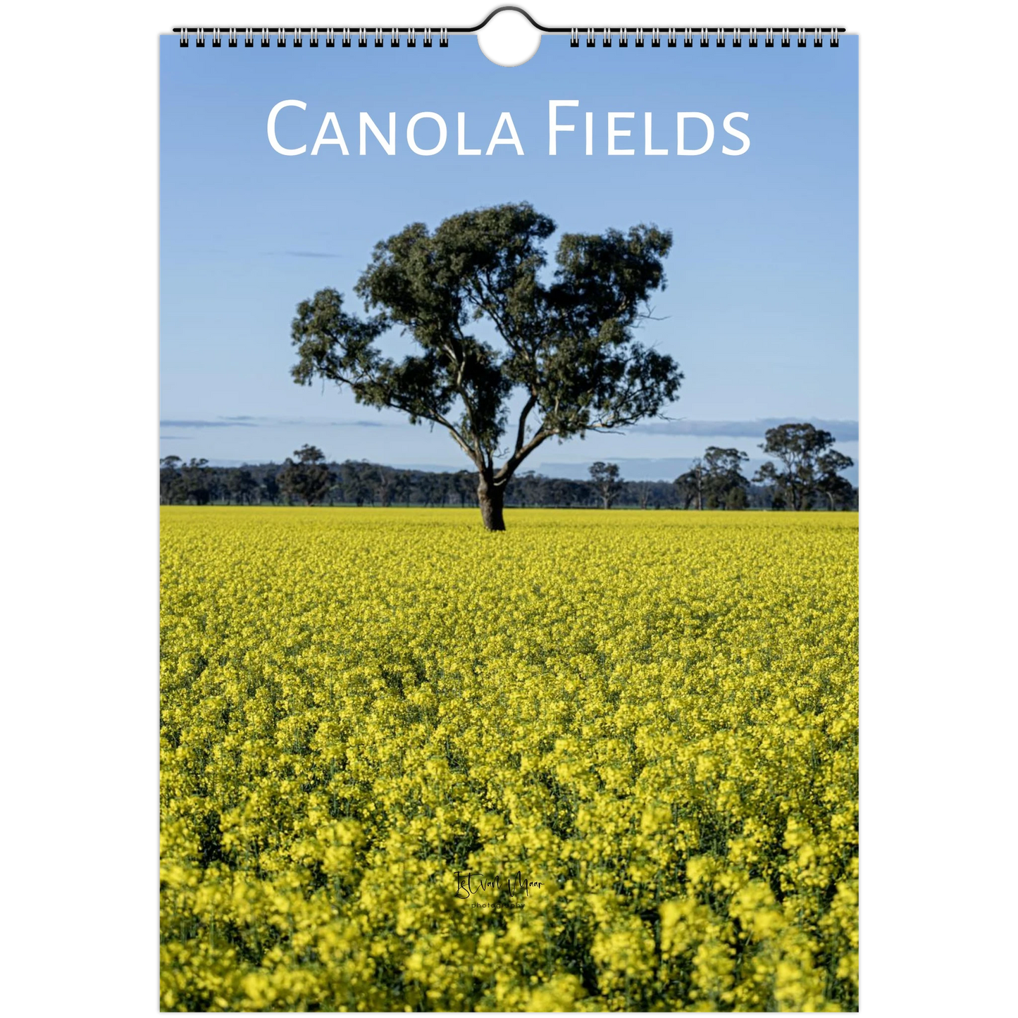 A hanging wall calendar or poster featuring a canola field landscape with a single tree under a blue sky, with the title 'CANOLA FIELDS' printed at the top.