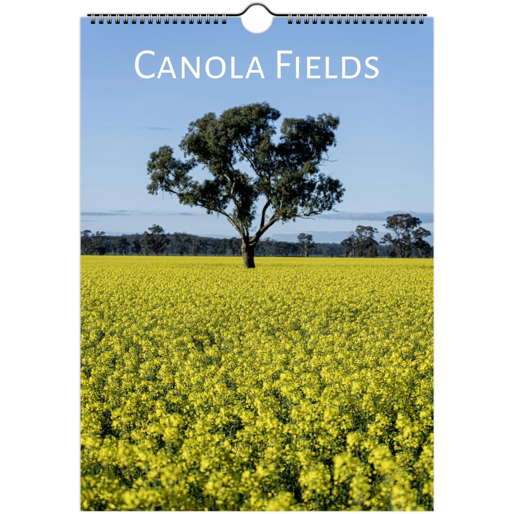 A hanging wall calendar or poster featuring a canola field landscape with a single tree under a blue sky, with the title 'CANOLA FIELDS' printed at the top.