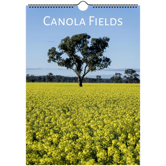 A hanging wall calendar or poster featuring a canola field landscape with a single tree under a blue sky, with the title 'CANOLA FIELDS' printed at the top.