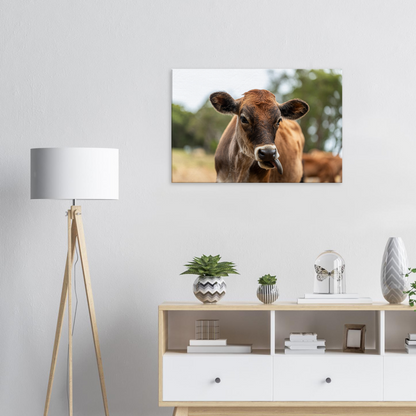 Cute calf Domestic Animal Canvas Wall Art Photography, Nursery Print, Nursery Animal Wall Decor, Kids Room, Prints, Stretched canvas by Istvan Maar Photography mockup 04