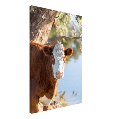 Cow Domestic Animal Canvas Wall Art Photography, Nursery Print, Nursery Animal Wall Decor, Kids Room, Prints, Stretched canvas by Istvan Maar Photography mockup 08