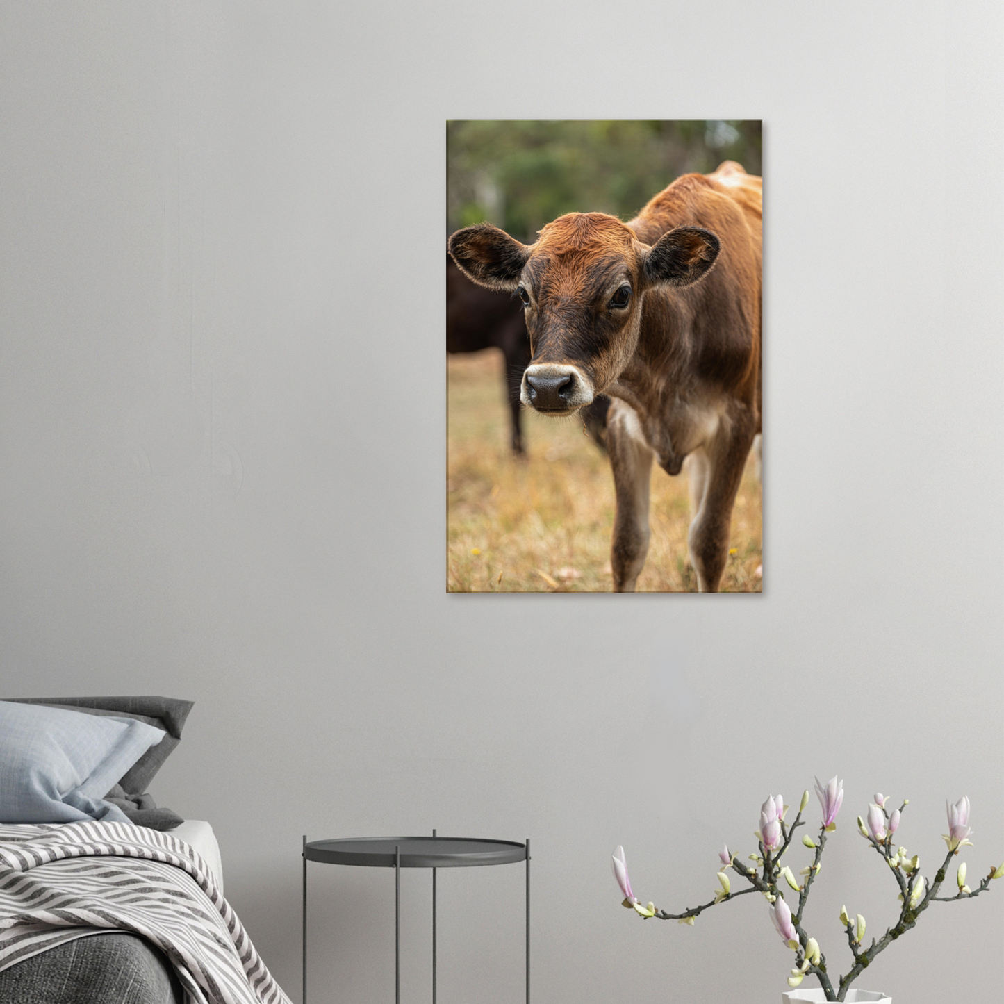 Cute calf Domestic Animal Canvas Wall Art Photography, Nursery Print, Nursery Animal Wall Decor, Kids Room, Prints, Stretched canvas by Istvan Maar Photography mockup 67