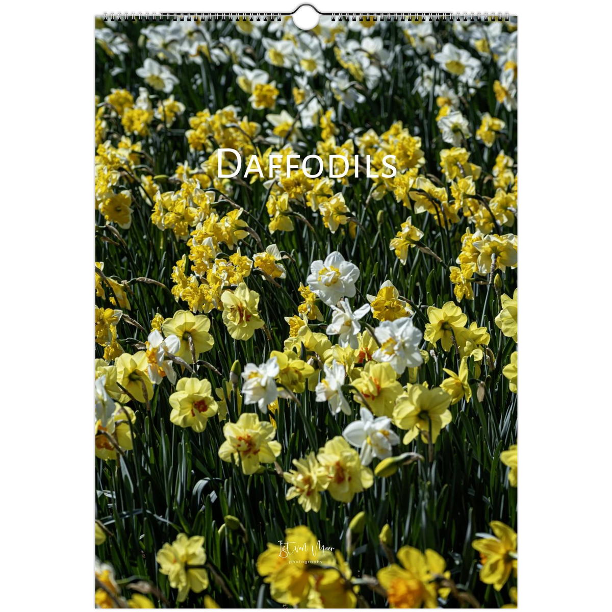 448cc3ed-854b-467e-bd2b-d9857e0f70f0