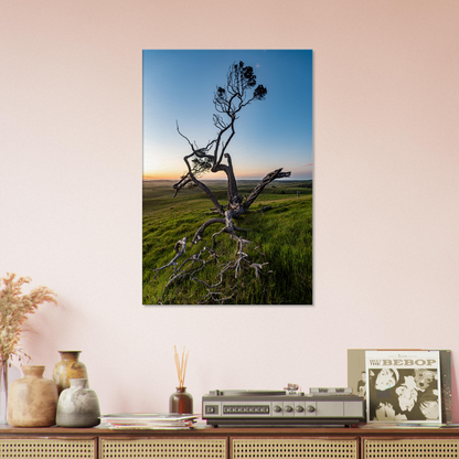 Twisted tree in sunset on canvas by Istvan Maar Photography - man cave