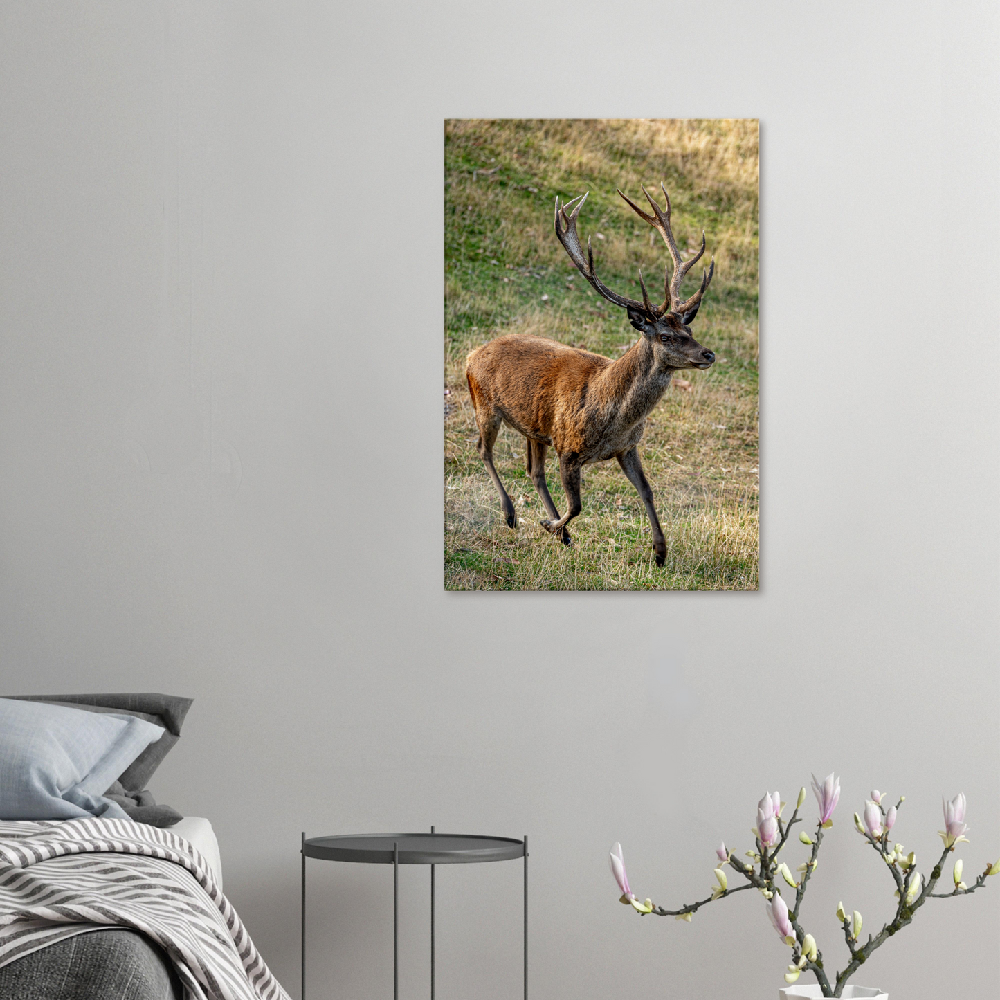 	
Deer Wildlife Animals Art Nursery Photography Wall Decor Kids Room Poster Playroom Artwork Stag Stretched Canvas 014