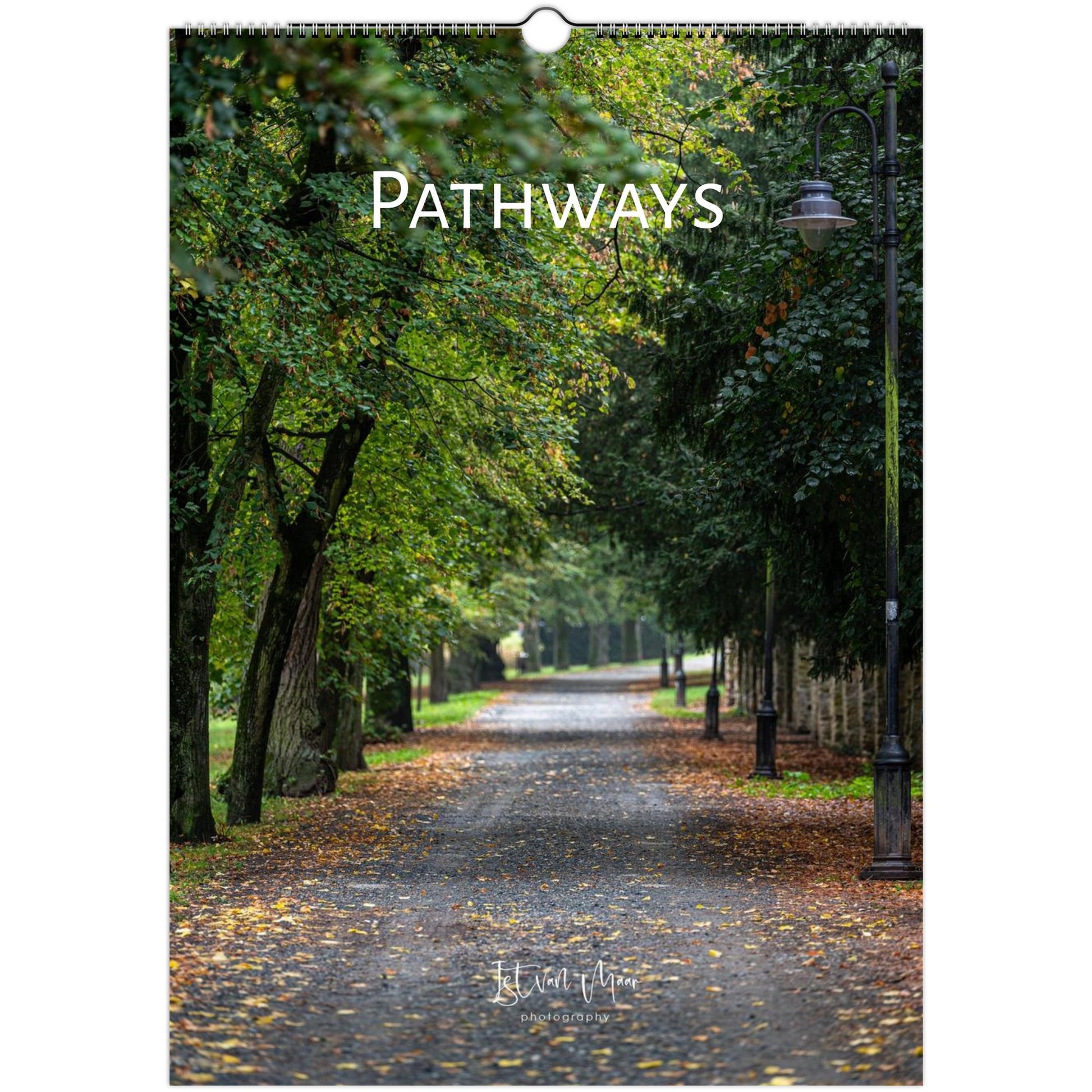479b6826-3a9b-442a-9c2a-a3fba75631ed
