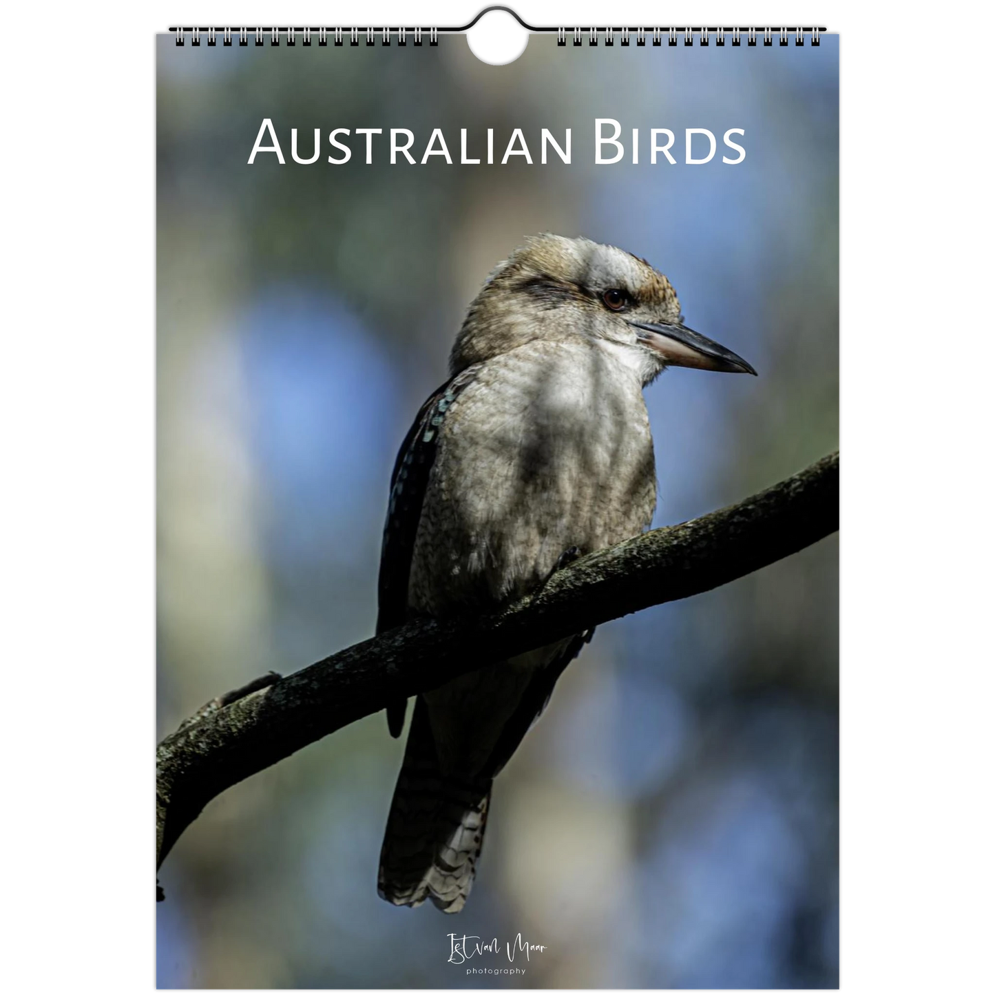 A hanging wall calendar or poster cover titled "AUSTRALIAN BIRDS" featuring a kookaburra perched on a branch against a blurred blue natural background. The product has a spiral binding hole at the top and a small artist signature near the bottom.