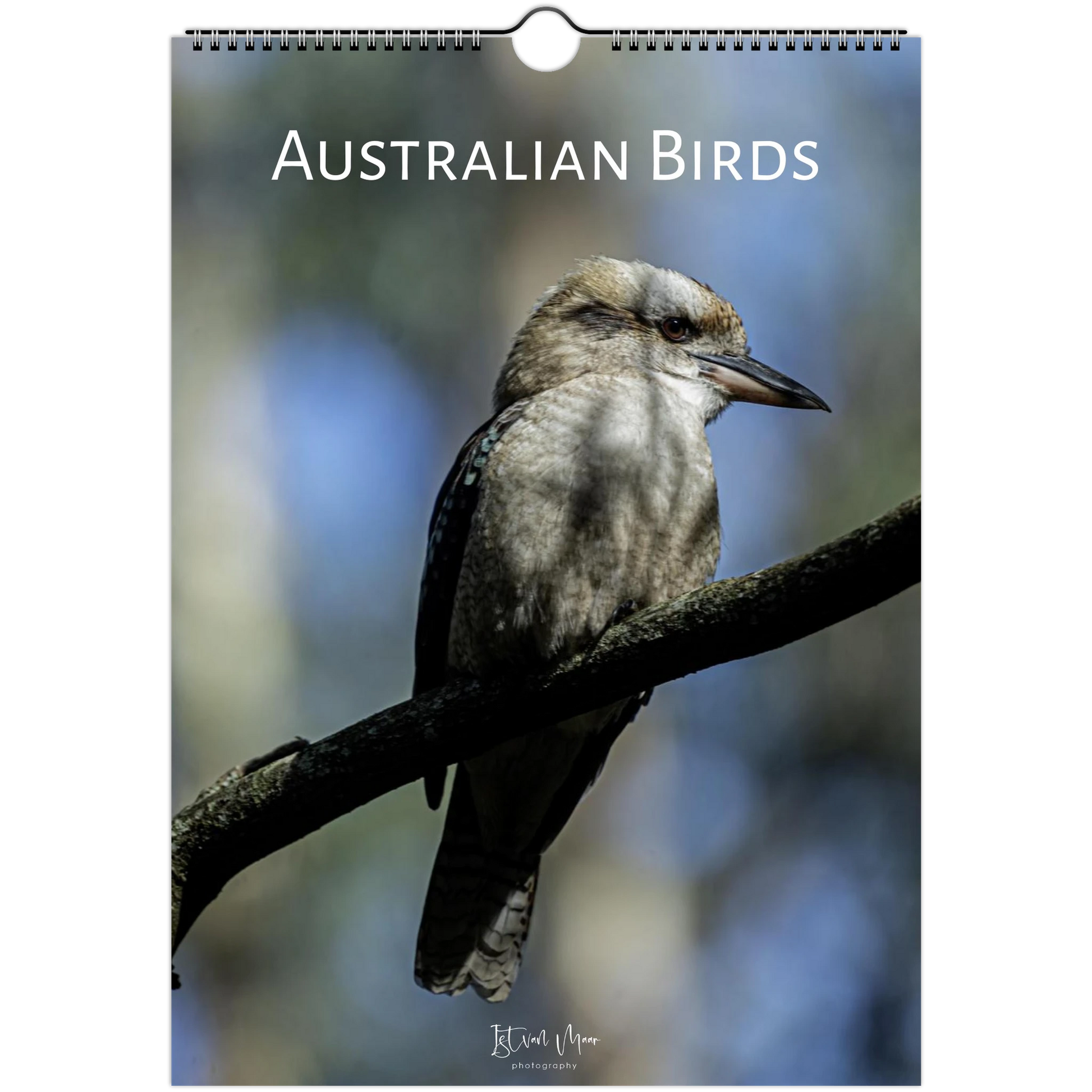 A hanging wall calendar or poster cover titled "AUSTRALIAN BIRDS" featuring a kookaburra perched on a branch against a blurred blue natural background. The product has a spiral binding hole at the top and a small artist signature near the bottom.