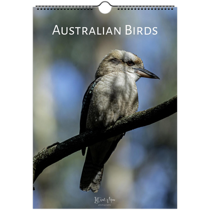 A hanging wall calendar or poster cover titled "AUSTRALIAN BIRDS" featuring a kookaburra perched on a branch against a blurred blue natural background. The product has a spiral binding hole at the top and a small artist signature near the bottom.