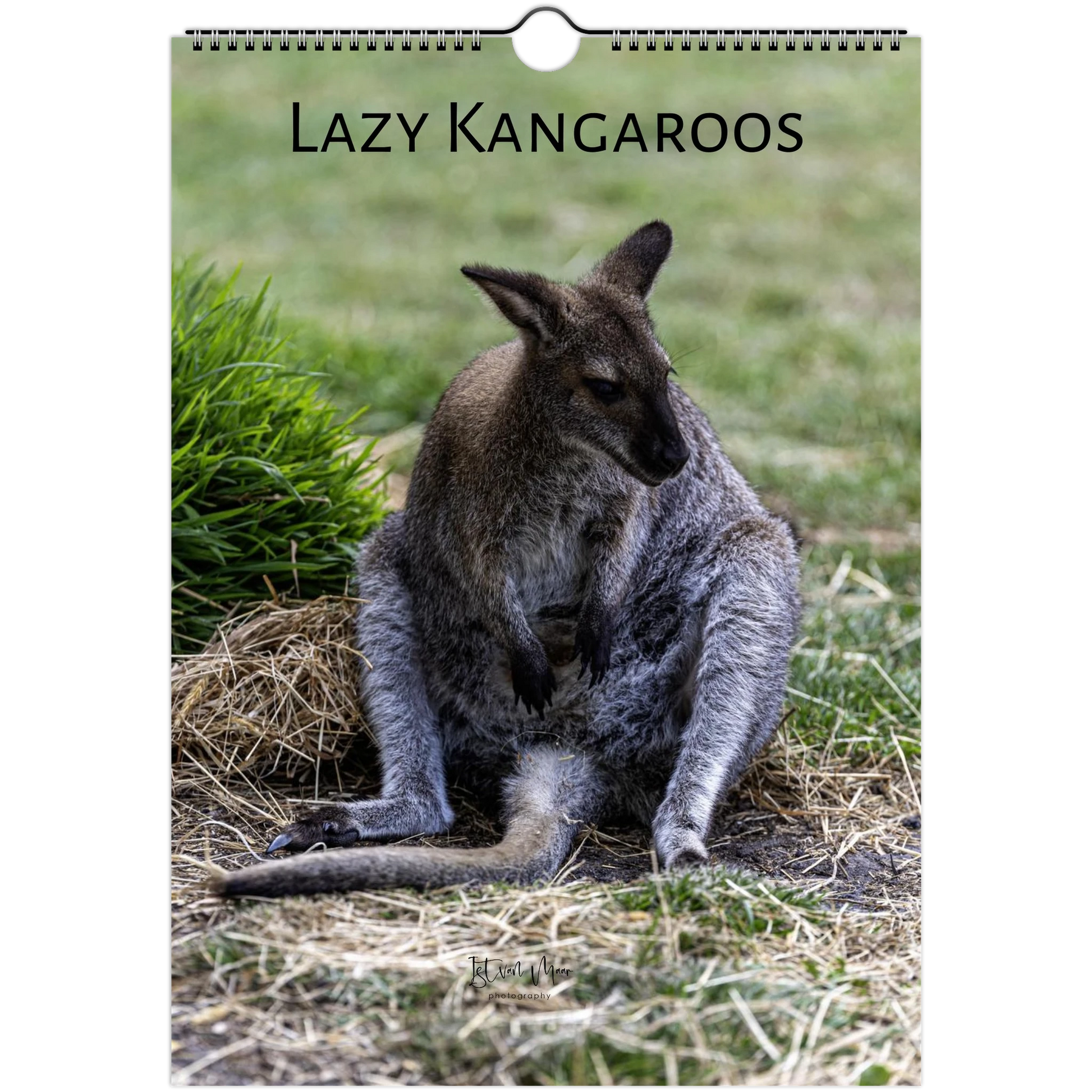 Lazy Kangaroos 2027 Wall Calendar A4 cover – kangaroo with joey sitting on dry grass | personalised quirky animal calendar