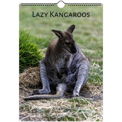 Lazy Kangaroos 2027 Wall Calendar A4 cover – kangaroo with joey sitting on dry grass | personalised quirky animal calendar